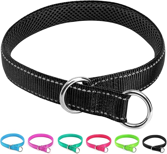 Reflective Slip Dog Collar, Loop Dog Collar for 20-38 lbs Dogs Nylon Collars with Soft Padded for Dogs Training (5/8" W x 15.5" L, Black)