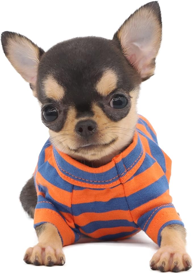 LOPHIPETS 100% Breathable Cotton Striped Dog Tee Shirt T-Shirt for Small Dogs Teacup Chihuahua Yorkie Puppy Clothes -Orange and Blue Strips/XS