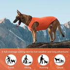 2 Pack Cooling Shirts for Dogs, Lightweight Mesh Breathable Dog Shirt for Small Dogs Boy, Sun-Protection Sleeveless Shirts for Dog&Cat Puppy Vest Pet Apparel P23ST00605S