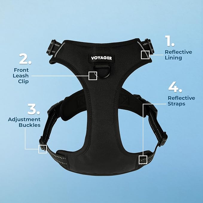 Voyager Dog Harness Dual Leash Attachment No-Pull Control Adjustable Soft but Strong Pet Harness for Medium and Large Dogs with 3M Reflective Technology, Leash Set Black Nylon, XL (Chest: 28-37")