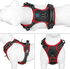 PHOEPET 2019 Upgraded No Pull Dog Harness, Reflective Adjustable Vest, with a Training Handle + 2 Metal Leash Hooks+ 3 Snap Buckles +4 Slide Buckles(M, Black)