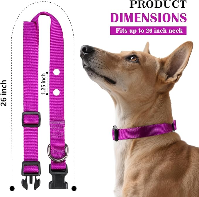 3/4 Inch Dog Shock Collar Replacement Strap with 2 Holes - Compatible with Most Brands of Ecollar Dog Fences and Training Collars, Purple