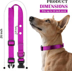 3/4 Inch Dog Shock Collar Replacement Strap with 2 Holes - Compatible with Most Brands of Ecollar Dog Fences and Training Collars, Purple