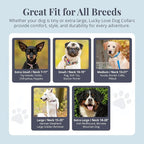 Lucky Love Dog - Easy Click Buckle Dog Collar with Leash Set Combo, Durable & Comfortable for Male & Female Dogs, Pet Collar for Small Dogs, Secure Fit - Blackbird Combo, X-Small