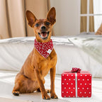 E-Clover Mother's Day Dog Bandana & Matching Scrunchie-Heart Dog Bandanas Red Pet Scarf Bib for Small Dogs Puppy Girl Boy Owner Valentines Mom Gift