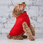 Syhood 2 Pieces Dog Jacket 2 Layers Fleece Lined Dog Jacket Warm Soft Windproof Small Pet Coat for Winter Cold Weather(S,Navy,Red)