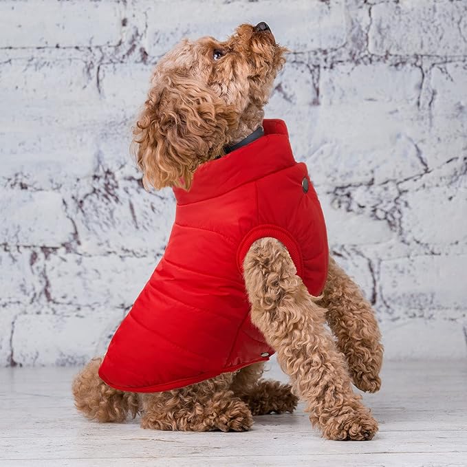 Syhood 2 Pieces Dog Jacket 2 Layers Fleece Lined Dog Jacket Warm Soft Windproof Small Pet Coat for Winter Cold Weather (3X-L,Navy,Red)