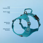 Voyager Dog Harness Dual Leash Attachment No-Pull Control Adjustable Soft but Strong Pet Harness for Medium and Large Dogs with 3M Reflective Technology, Turquoise Nylon, L (Chest: 25-30")