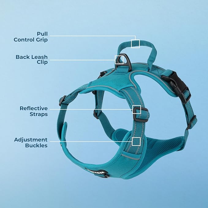 Voyager Dog Harness Dual Leash Attachment No-Pull Control Adjustable Soft but Strong Pet Harness for Medium and Large Dogs with 3M Reflective Technology, Turquoise Nylon, S (Chest: 16-20")