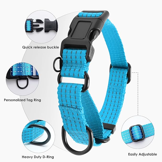 Martingale Collar for Dogs, Reflective Heavy Duty with Quick Release Nylon Buckle, No Pull Training Choker for Walking, Training, Sky Blue, L
