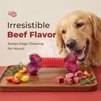Apasiri Tough Dog Toys for Aggressive Chewers Beef Flavor: 8" Dog Chew Bone for Large Breed, Nylon & Rubber Chew Toy for Medium Large Dogs