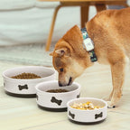 Sweejar Ceramic Dog Bowls with Bone Pattern, Dog Food Dish for Large Dogs, Porcelain Pet Bowl for Water 70 Fl Oz (White)