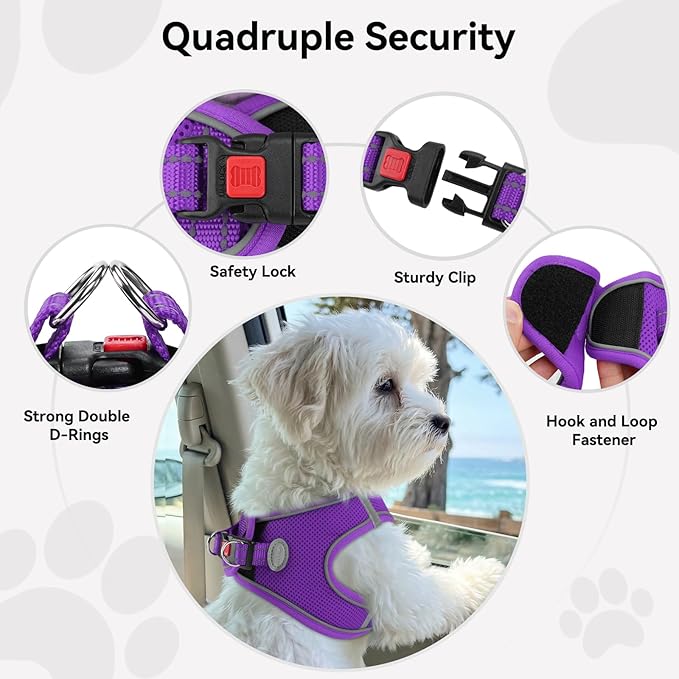Joytale Small Dog Harness, Breathable Mesh Step-in Vest, Reflective Soft Padded Harnesses for Cats, Puppies and Extra Small Dogs, Purple, XXS