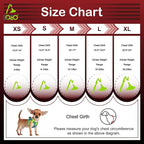 DOCO Dog Harness for Small Sized Dog - Athletica Adjustable, No Pull, No Choke, Puppy Vest Lightweight Air Mesh, Reflective, Puppy Essentials – Turquoise, X-Small (Chest 13.5"-14.", Weight 4–6 lbs)