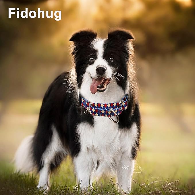 Reflective Martingale Dog Collar with Buckle Soft Nylon Geometric Patterns Pet Collars for Large Dogs (Argyle, L)