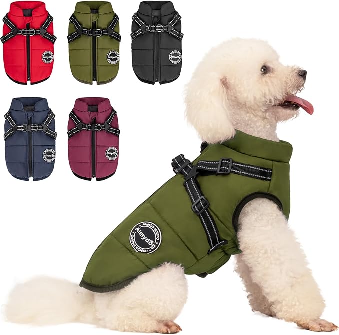 Warm Dog Winter Coat, Fashion Sports Cold Weather Jacket with Built-in Harness, Reflective & Adjustable Comfortable Pet Vest, Windproof Apparel for Small Medium Large Dogs (Green)