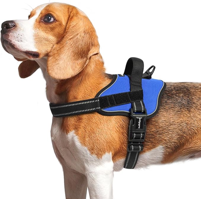 rabbitgoo Dog Harness Medium Sized, No Pull No Choke Pet Vest, Easy Wearing with One Buckle, Reflective, Adjustable Pet Harness with Molle for Walking, Training, Blue, M