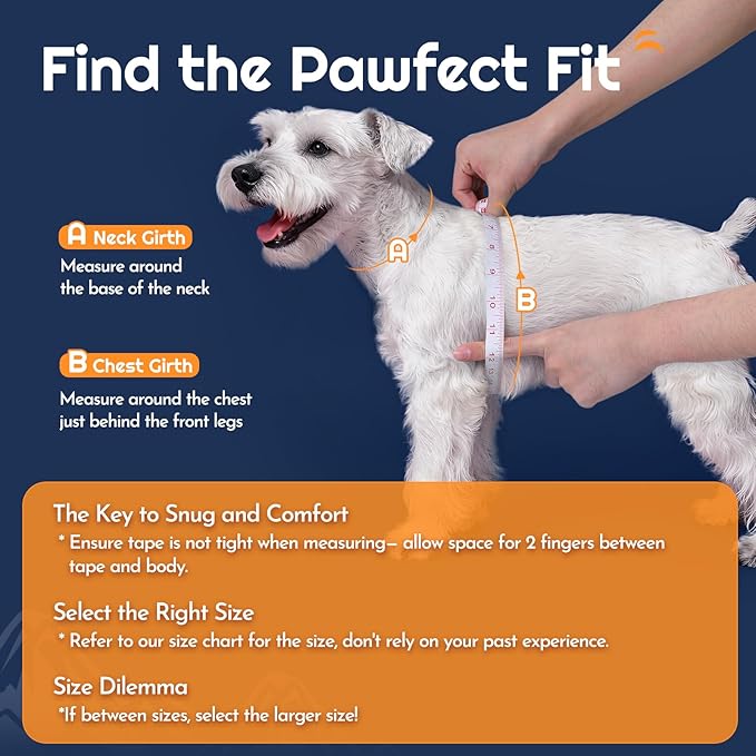 Eagloo Small Dog Harness and Leash Set, Step in Puppy Vest with Breathable Soft Mesh, Walking Reflective Pet Harness for Medium Small Dogs, Navy Blue, M