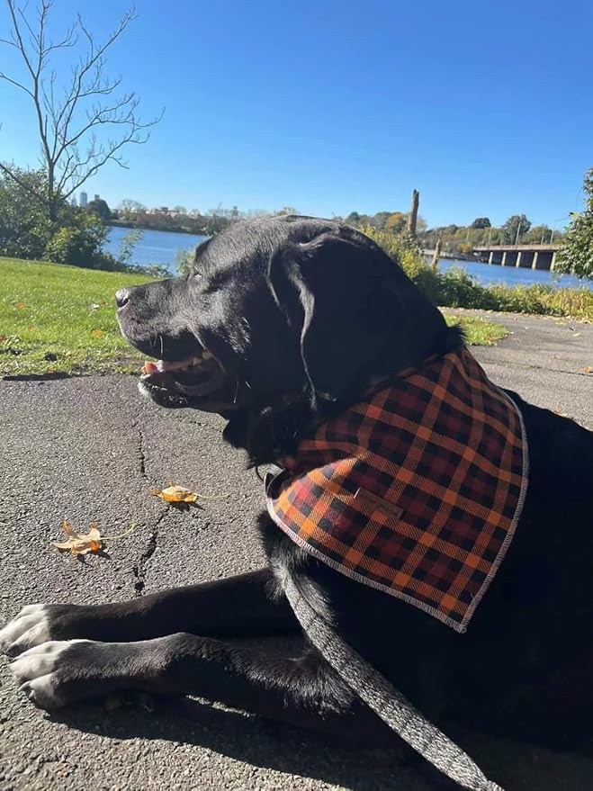 Elegant little tail Dog Bandanas - 1Pack Washable Fall Dog Scarf Girl or Boy Square Bib Kerchief Scarf Adjustable Pet Bandana for Small Medium Dogs
