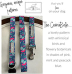 Lucky Love Dog - Easy Click Buckle Dog Collar with Leash Set Combo, Durable & Comfortable for Male & Female Dogs, Pet Collar for Small Dogs, Secure Fit - Carriebelle Combo, Small