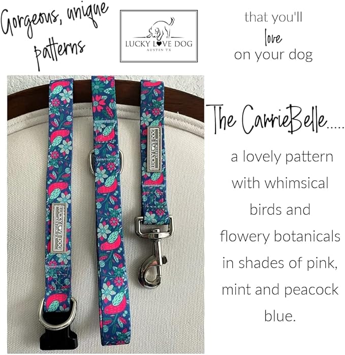 Lucky Love Dog - Easy Click Buckle Dog Collar with Leash Set Combo, Durable & Comfortable for Male & Female Dogs, Pet Collar for Large Dogs, Secure Fit - Carriebelle Combo, Large