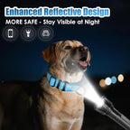 Martingale Collar for Dogs, Reflective Heavy Duty with Quick Release Nylon Buckle, No Pull Training Choker for Walking, Training, Sky Blue,S
