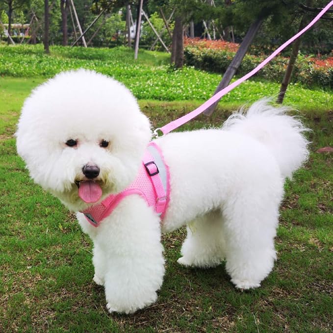 FEimaX Dog Harness and Leash Set for Walking, Soft Mesh Adjustable Easy Control Lightweight Cat Vest Harnesses with Reflective Strips, Escape Proof Small Dogs Cats Vests (Pink, X-Small)