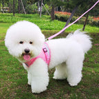 FEimaX Dog Harness and Leash Set for Walking, Soft Mesh Adjustable Easy Control Lightweight Cat Vest Harnesses with Reflective Strips, Escape Proof Small Dogs Cats Vests (Pink, Large)
