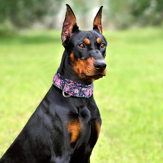Wide 1.5 inch Martingale Collar for Extra Large Dogs,Big Thick Dog CollarNo-Slip Escape Proof Choke No Pull Cinch for Male and Female Dogs for Training & Walking -Bohemia Flowers XL