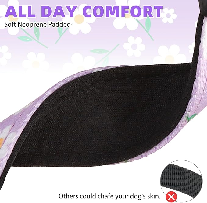 KOOLTAIL Martingale Collar for Dogs for Small Medium Large Dogs, Soft Padded Nylon No Pull Dog Collar with Buckle, Adjustable No Slip Heavy Duty Durable Puppy Training Collar for Boys Girls, Purple M