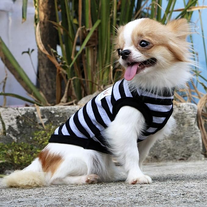LOPHIPETS 100% Cotton Striped Dog Shirts for Small Dogs Chihuahua Puppy Clothes Tank Vest-Black and Gray Strips/XL