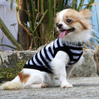 LOPHIPETS 100% Cotton Striped Dog Shirts for Small Dogs Chihuahua Puppy Clothes Tank Vest-Black and Gray Strips/XL