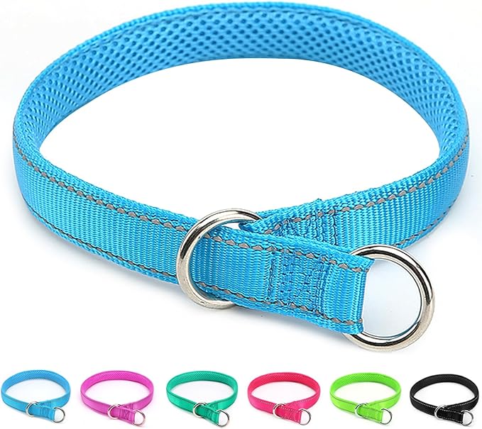 Reflective Slip Dog Collar, Loop Dog Collar with Soft Padded Training -Suitable for Dog Weight 20-38 lbs (5/8" W x 15.5" L, Teal)