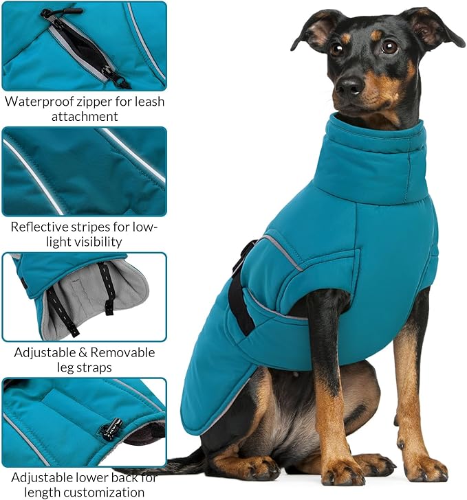 Queenmore Medium Dog Coat, Winter Dog Jacket, Waterproof Puffy Dog Snowsuit, Adjustable Reflective Fleece Lining Warm Padding Parka for Cold Weather, Blue M