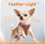 Eagloo Small Dog Harness and Leash Set, Step in Puppy Vest with Breathable Soft Mesh, Walking Reflective Pet Harness for Small Dogs, Orange, L