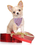 Valentine Dog Bandana - Pink Heart Triangle Bid Scarf for Small/Medium Dogs & Cats, Cotton Kerchief for Girl/Boy Pets, Adorable Puppy Bandana