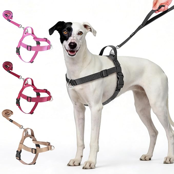 Annchwool No Pull Dog Harness with Front Clip and Easy Control Handle-Belly & Chest Adjustable Dog Harness and Leash Set for Medium Large Dogs-Heavy Duty Vest Harnesses Easy for Walking(Black,M)