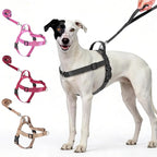 Annchwool No Pull Dog Harness with Front Clip and Easy Control Handle-Belly & Chest Adjustable Dog Harness and Leash Set for Small Medium Dogs-Heavy Duty Vest Harnesses Easy for Walking(Black,S)