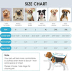 Queenmore Dog Coats for Large Breeds, Dog Snow Jacket, Adjustable Easy On Pet Winter Jackets, Waterproof Cold Weather Pet Coat, Blue, L