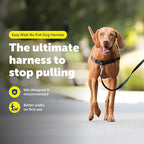 PetSafe Easy Walk Harness for Dogs - Pull-Free Walks - Patented Martingale Loop Design - Front Chest Leash Attachment - Comfort Straps - Breathable Harness Design - Medium, Charcoal/Black