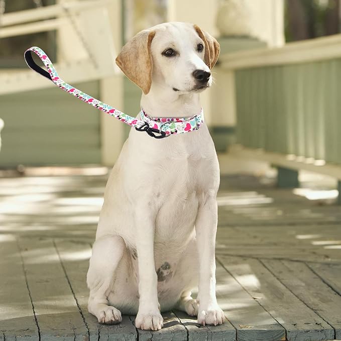 Martingale Collar and Leash Set, Premium No Slip Martingale Collar for Dogs Medium Large, Girl Dog Collars Training (NO11, L)