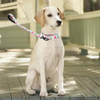 Martingale Collar and Leash Set, Premium No Slip Martingale Collar for Dogs Medium Large, Girl Dog Collars Training (NO11, L)