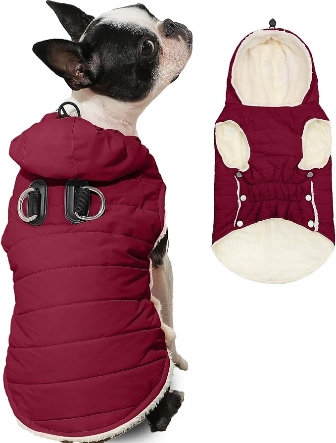 Fleece Lining Dog Hoodie with Harness Built in,Extra Warm Small Dog Jacket in Winter Puppy Coats with Drawstring Hooded,Red M