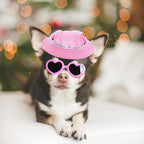 choyaxo Dog Sun Hat Set Including Dog Visor Sunbonnet Outfit with Ear Holes Dogs Sunglasses Baseball Cap for Puppy Small Dogs Outdoor UV Protection