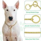Dog P Snake Chain Chrome Plated Metal Dog Training Choke/Collar-Fully Guaranteed Against Rust Tarnish or Breakage-Recommended for Professional Training (Golden, 5mm * 22")