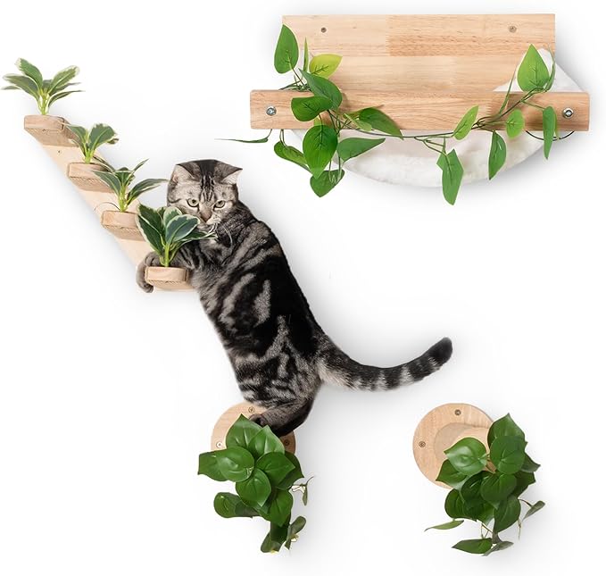 MEOWOOU 3 in 1 Cat Wall Furniture Set, 3 Pack Climbing Shelves Set, Cats Hammock, Wall Climbing Steps, Solid Rubber Wood Wall Shelf Cat Steps and Perches for Sleeping, Climbing, Scratching and Playing