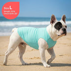 KYEESE 2Pack Dog Cooling Shirt, Breathable Dog Shirt for Small Dogs, Sun Protection Dogs Cooling Vest Tank Top, Lightweight Soft Sleeveless Summer Puppy Clothes, Duck+Blue, S