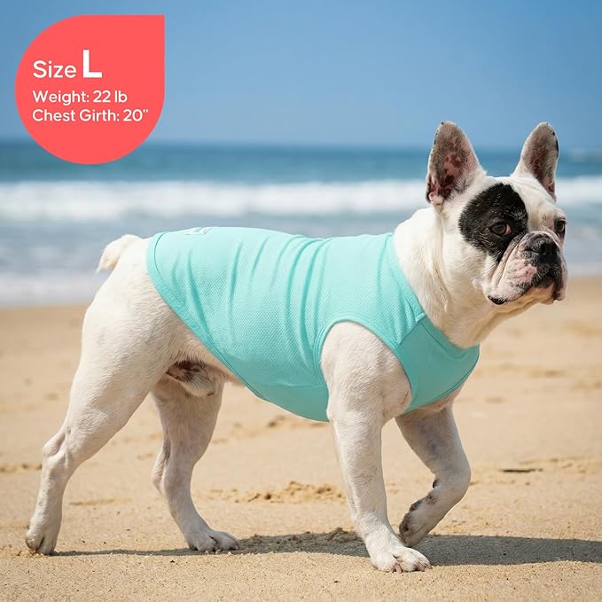 KYEESE 2Pack Dog Cooling Shirt, Breathable Dog Shirt for Small Dogs, Sun Protection Dogs Cooling Vest Tank Top, Lightweight Soft Sleeveless Summer Puppy Clothes, Duck+Blue, S