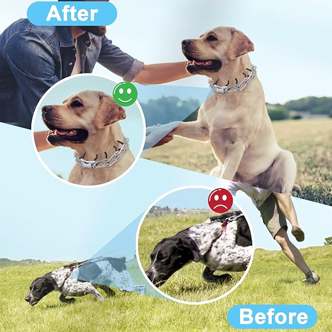 Prong Training Collar for Dogs, Adjustable Dog Training Pinch Collar with Quick Release Buckle, No Pull Collar for Small Medium Large Dogs, Extra Link and Caps (XL (21-26" Neck, 4.0mm))