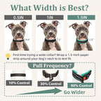 Mayerzon 1.5" Wide Martingale Collar for Large Medium Small Dogs Pitbull German Shepherd, No Pull Reflective Slip Martingale Dog Collar with Buckle Soft Padded for Walking Training(Teal,XXL)